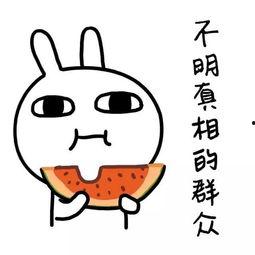 娱乐吃瓜酱上班